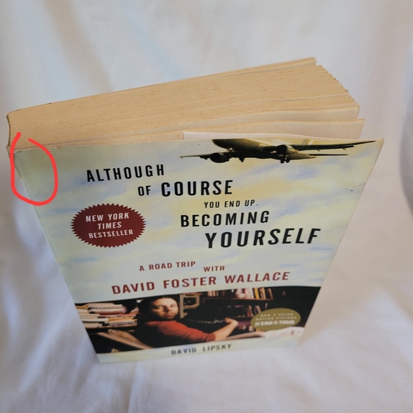 Although Of Course You End Up Becoming Yourself: A Road Trip with David Foster W - Picture 5 of 7